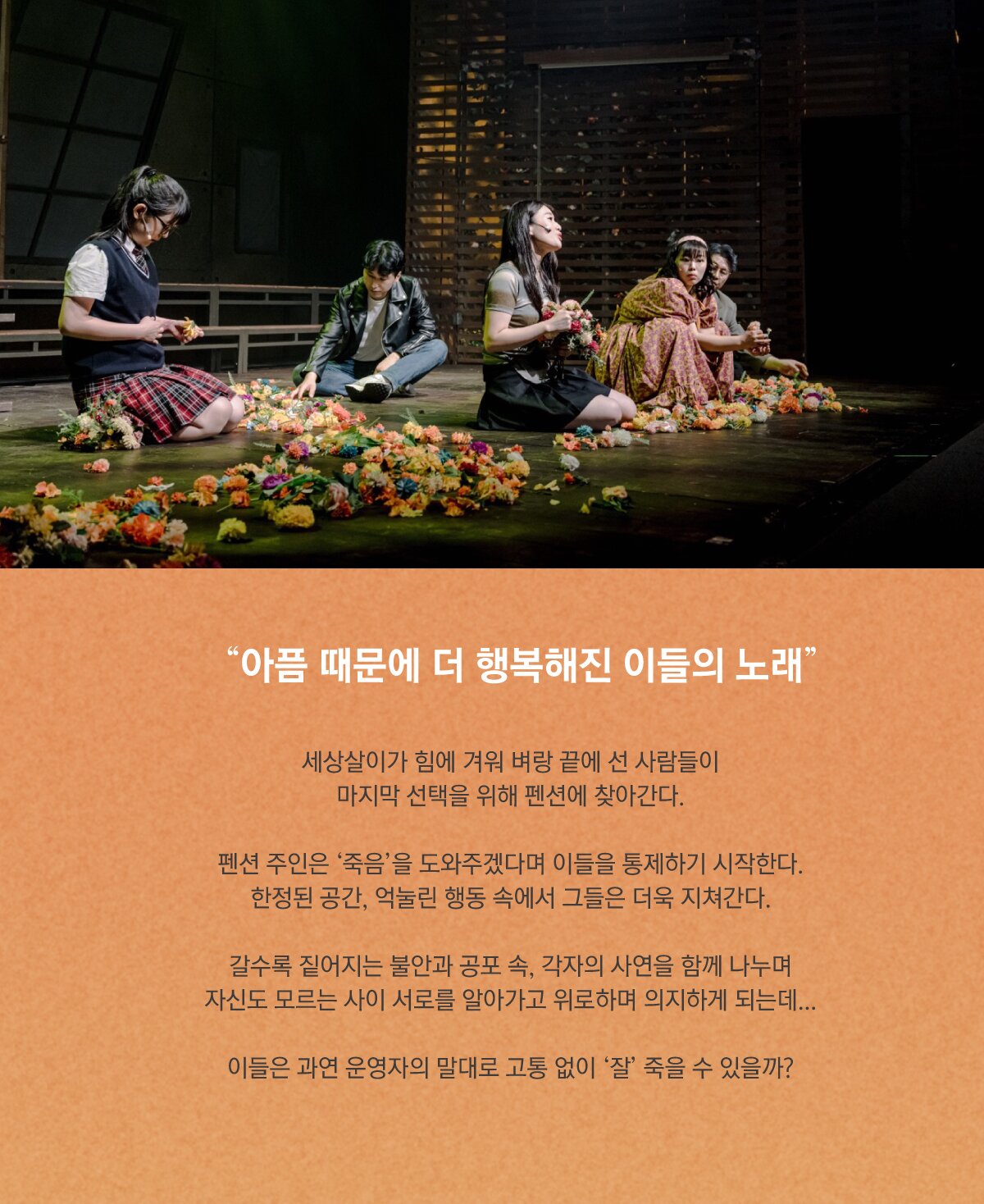 메리골드 소개이미지