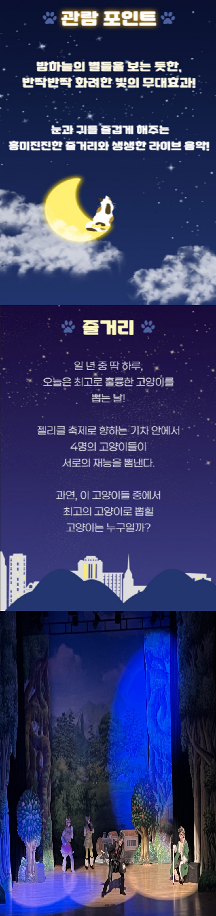 어린이 캣 [진해] 공연 소개