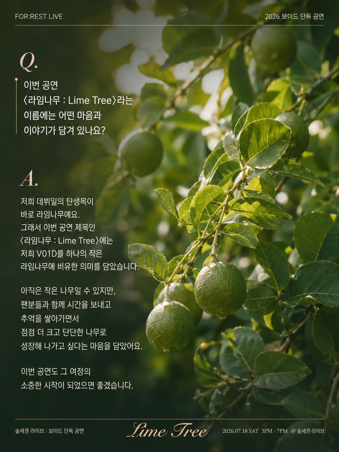 숲세권 라이브 보이드 단독 공연 라임나무 소개이미지