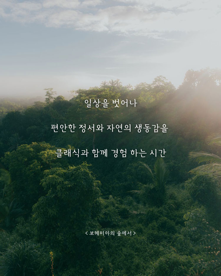 보헤미아의 숲 [세종] 소개 이미지 2