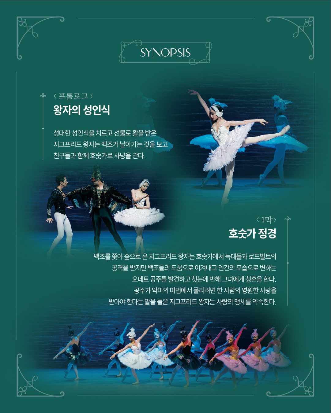 백조의 호수 [고창] 상세 이미지