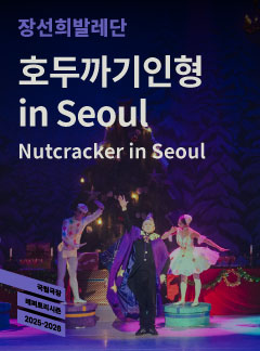 장선희발레단 호두까기인형 서울 세부정보