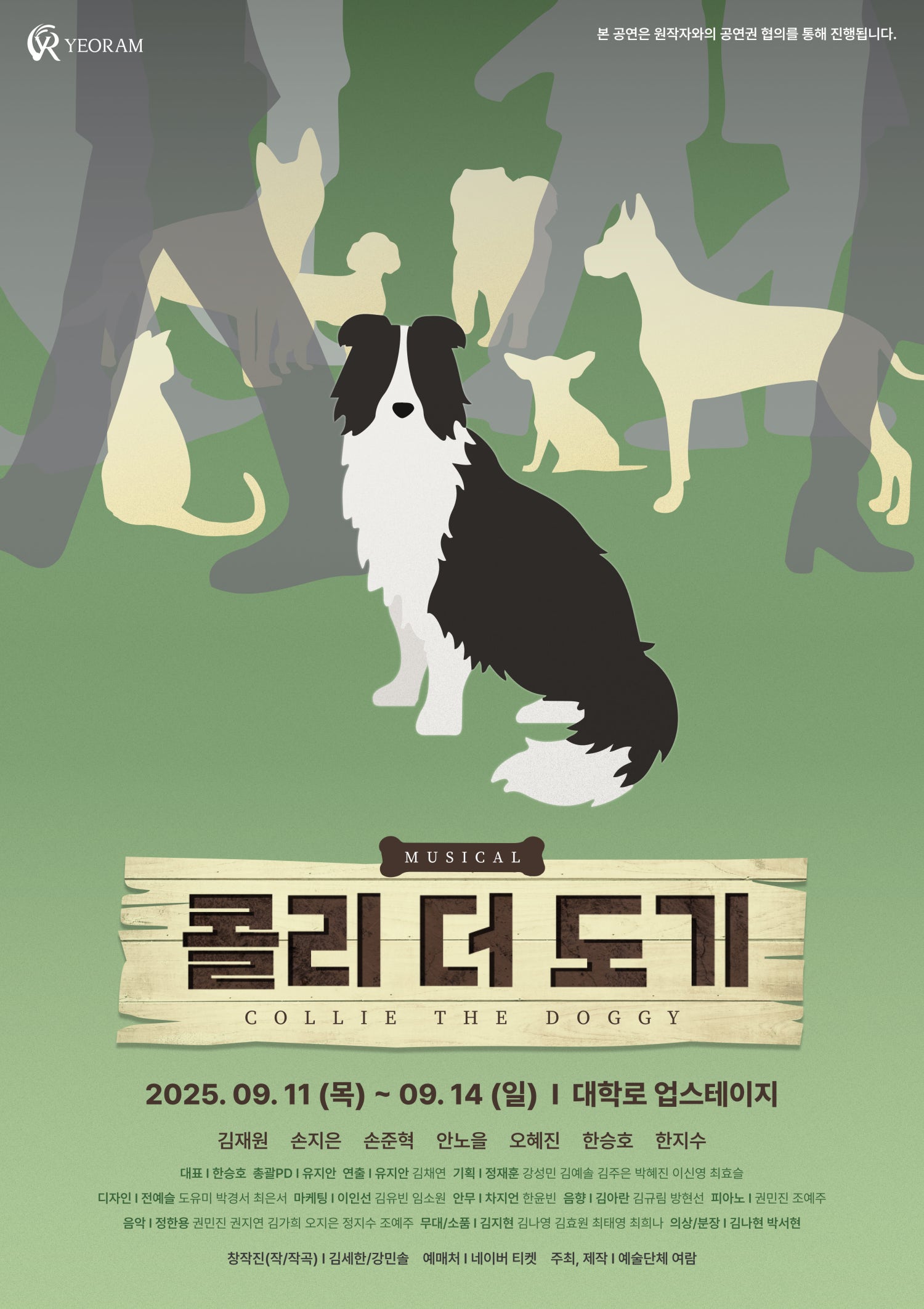 콜리 더 도기 대학로 세부정보