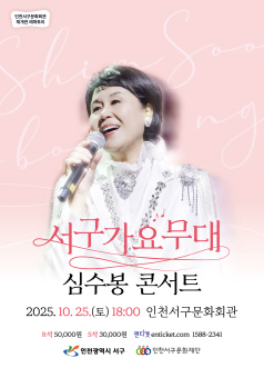 심수봉 콘서트 인천 세부정보