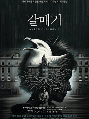 갈매기