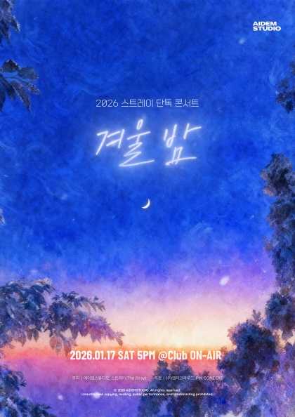 Stray Solo Concert: Winter Night