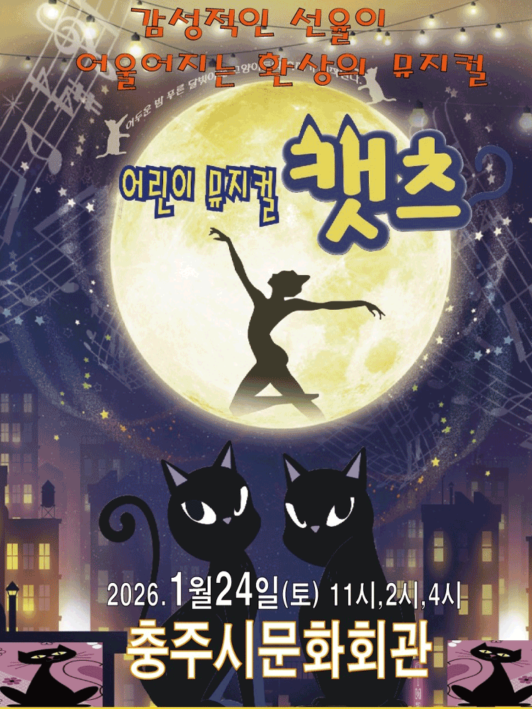 Kids Cats [Chungju]