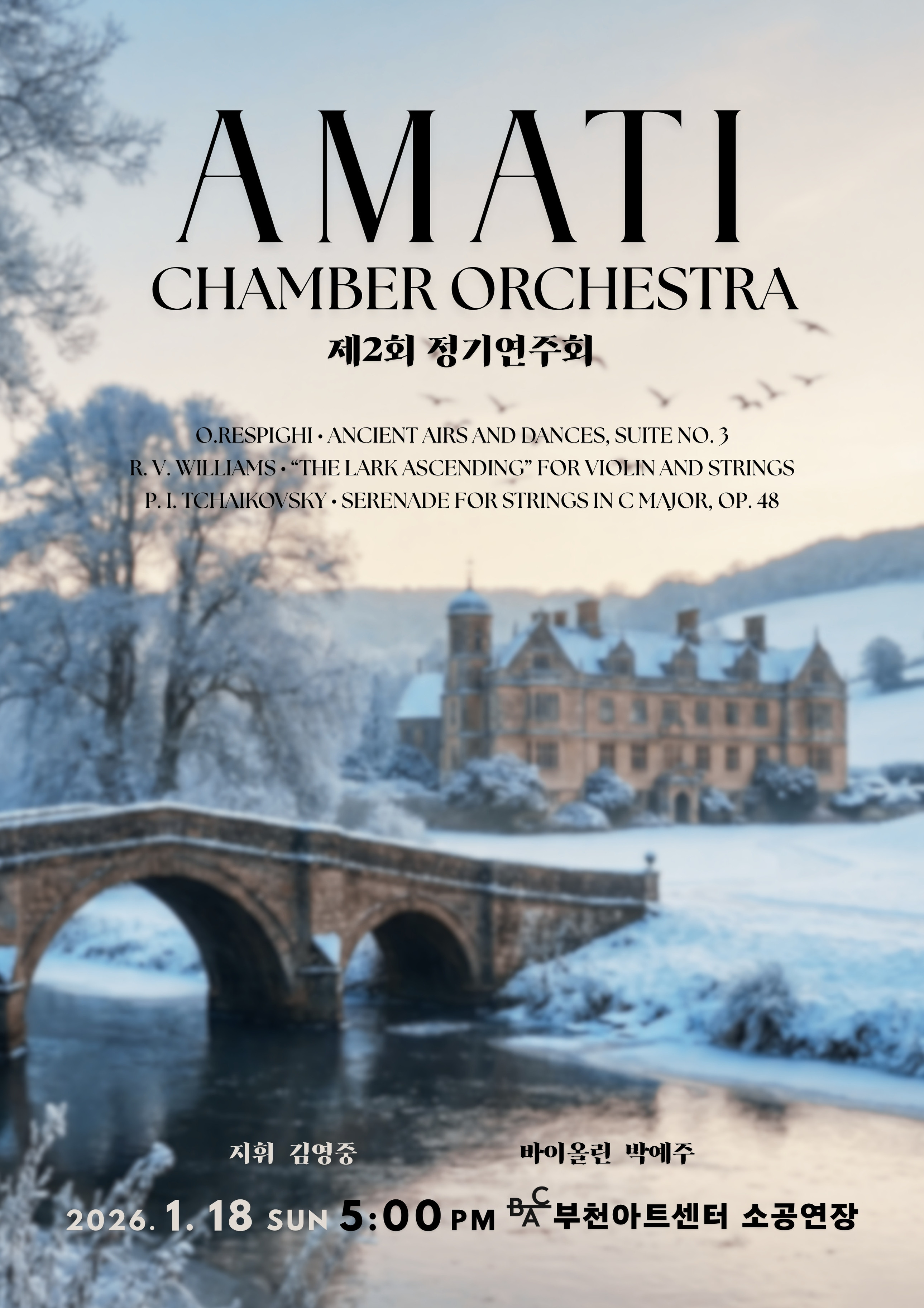 2nd Amati Chamber Orchestra Regular Concert [Bucheon]